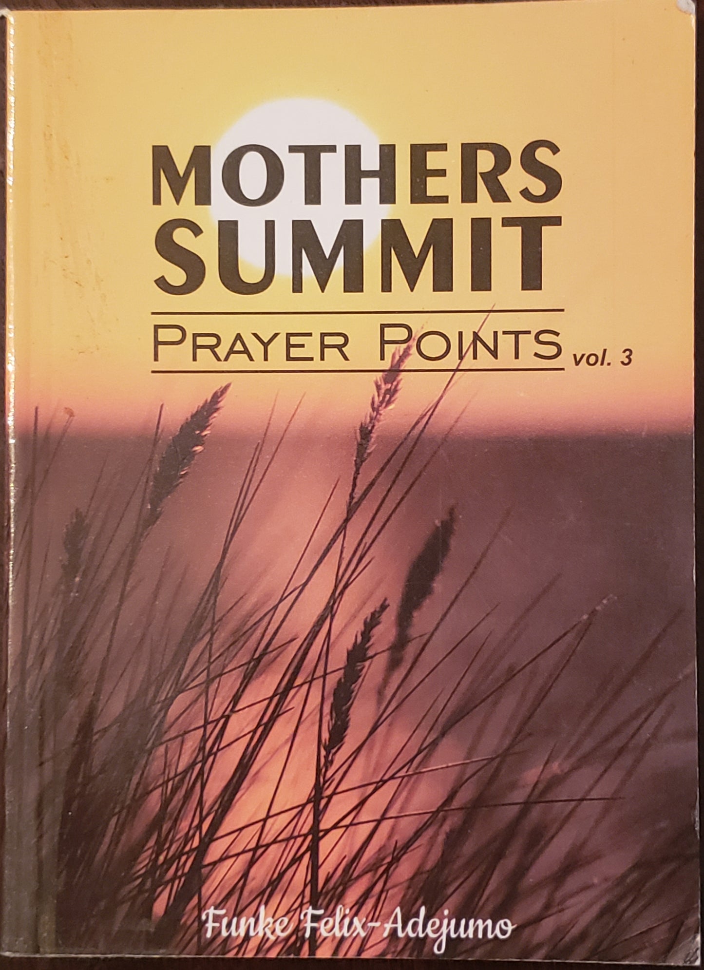 Mothers Summit Prayer Points vol. 3