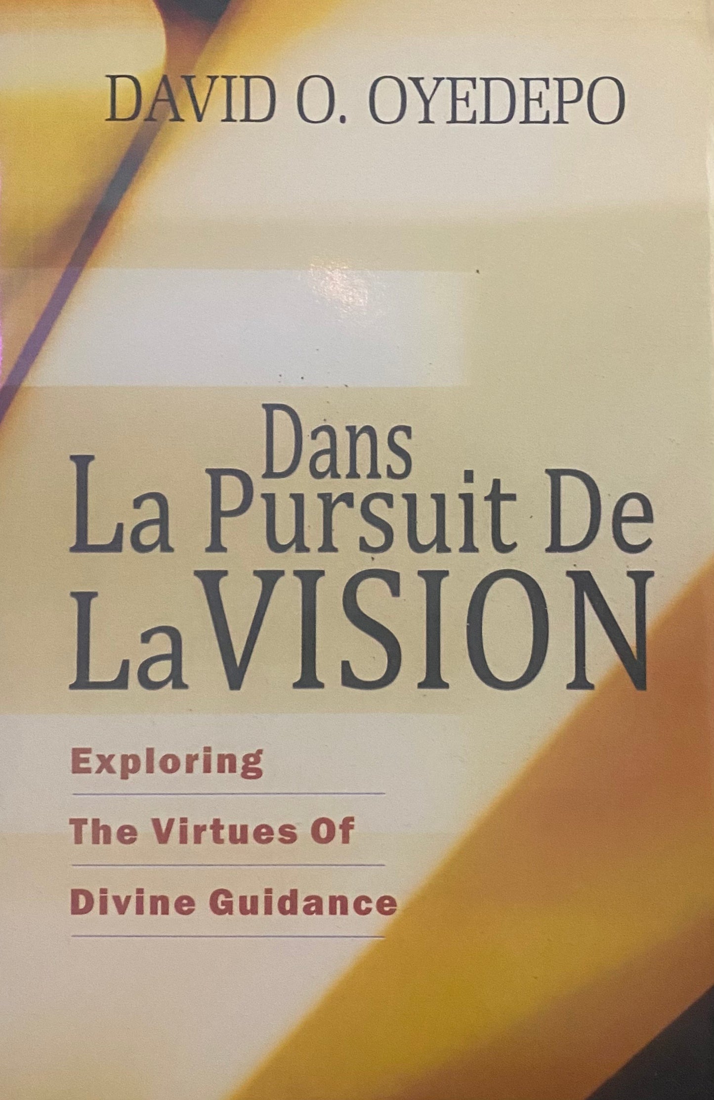 Dans La Pursuit De La Vision