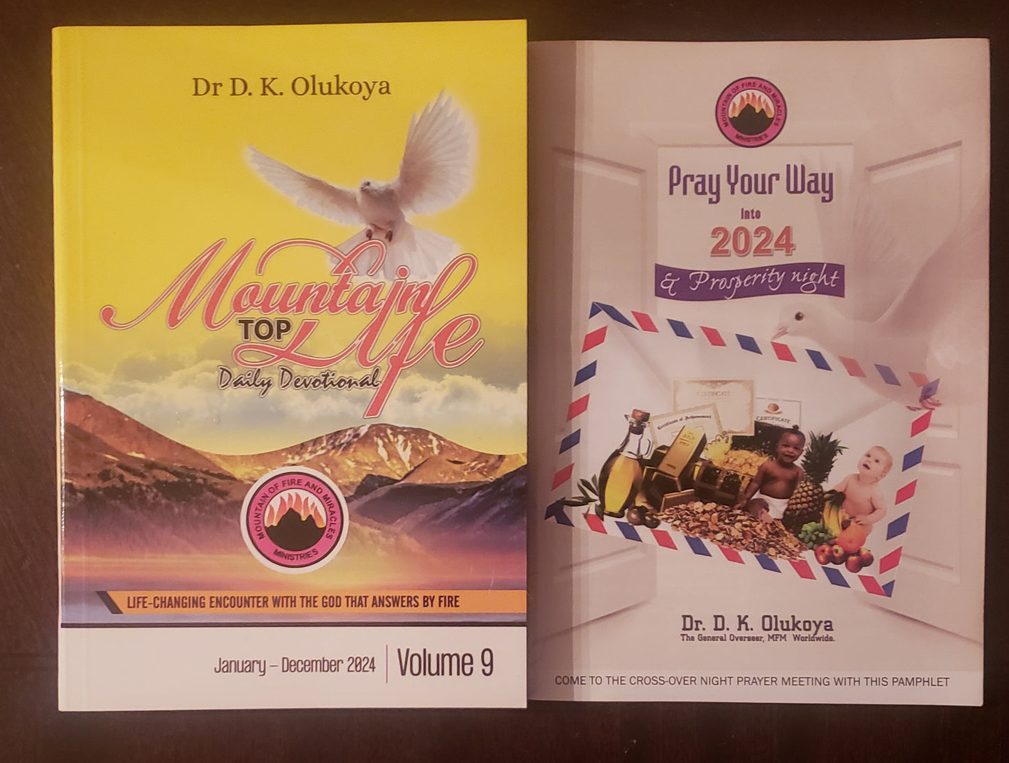 Pray Your Way Into 2024 & Prosperity Night and Mountain Top Life Daily Devotional Combo