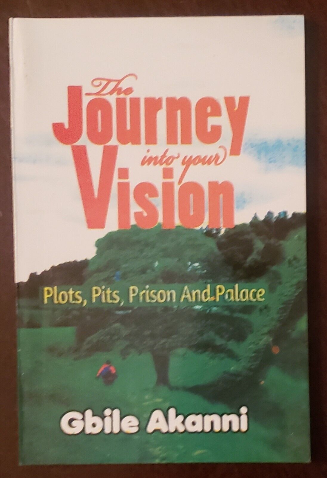 The Journey into your Vision