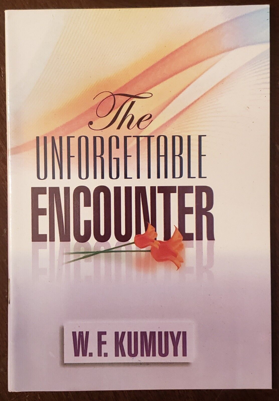 The Unforgettable Encounter