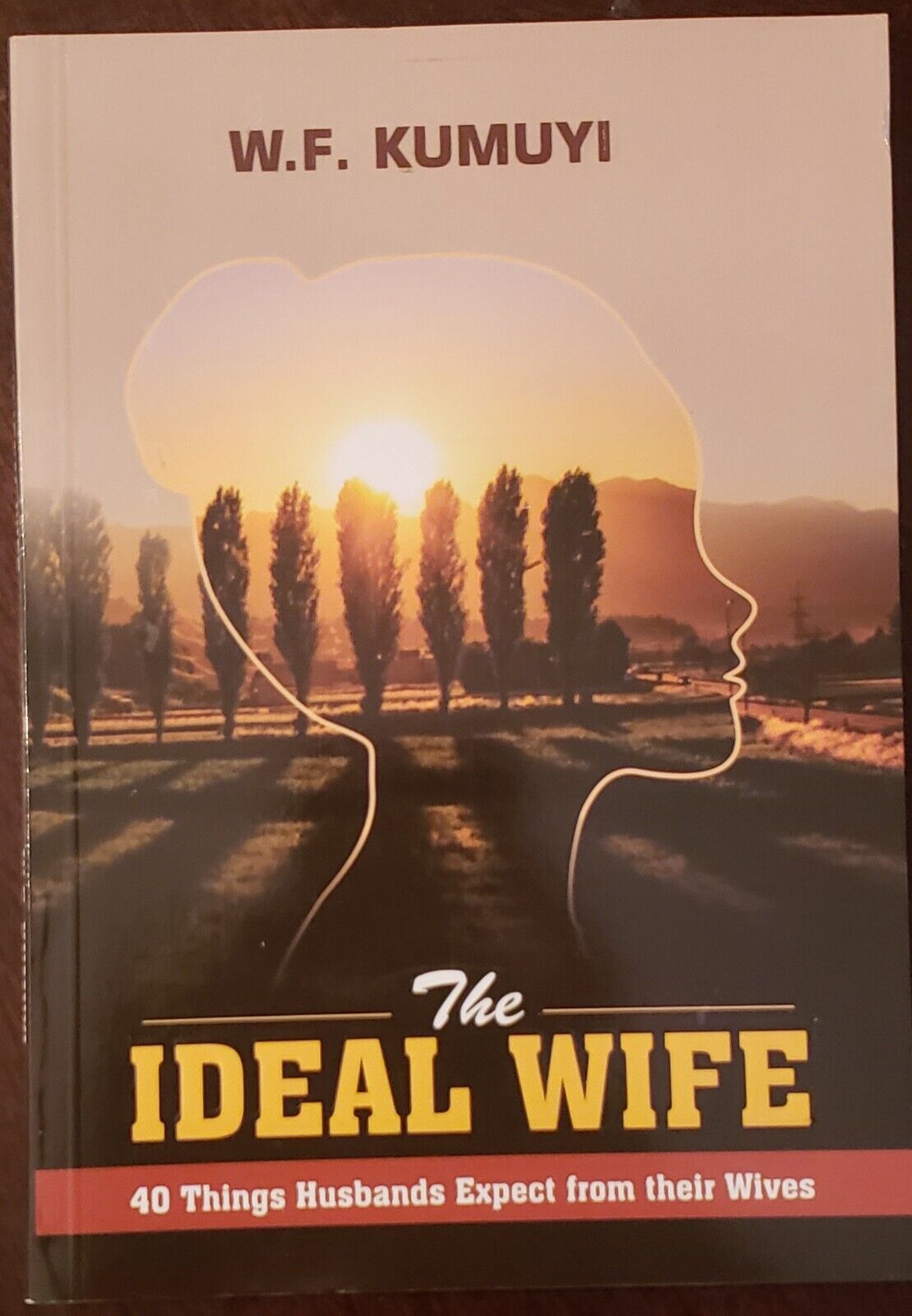 The Ideal Wife