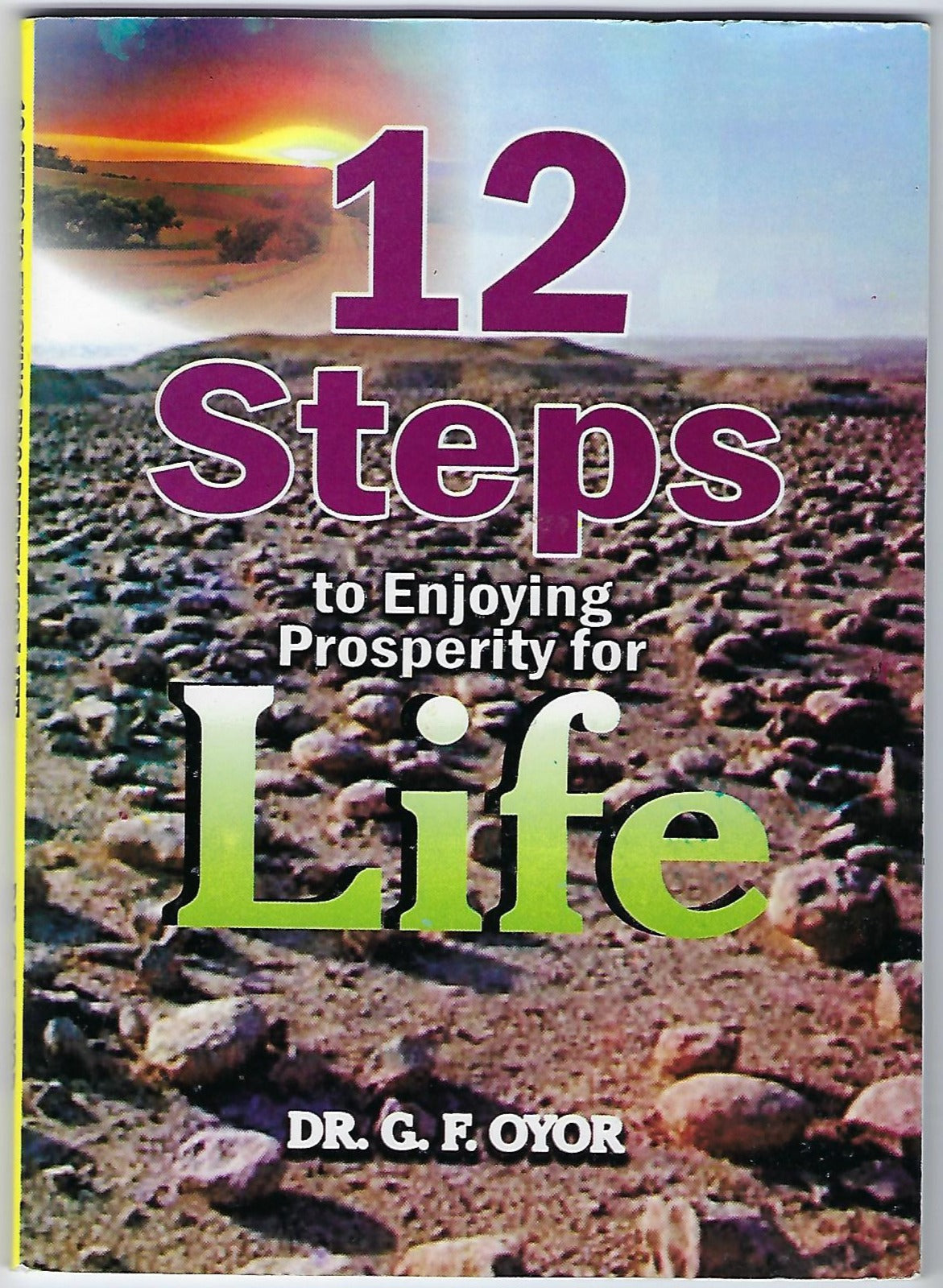 12 Steps to Enjoying Prosperity for Life