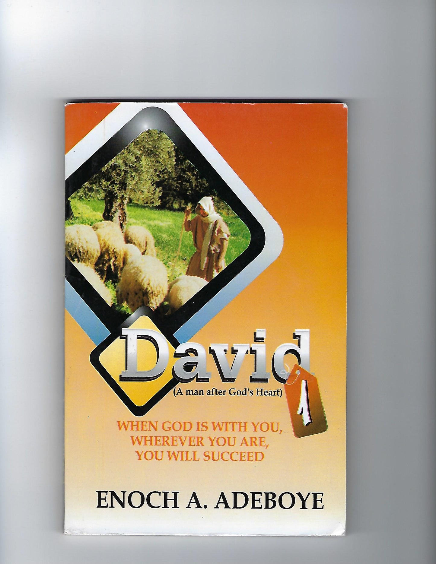 David, A Man After God's Heart: Volume 1