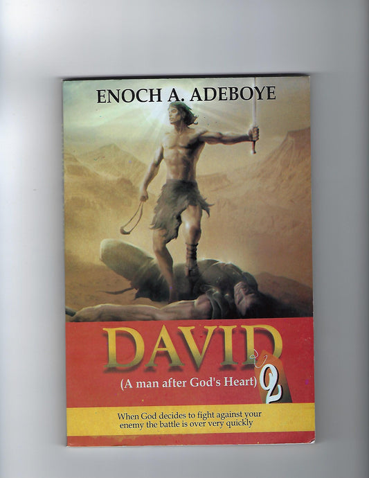 David, A Man After Gods Heart: Volume 2