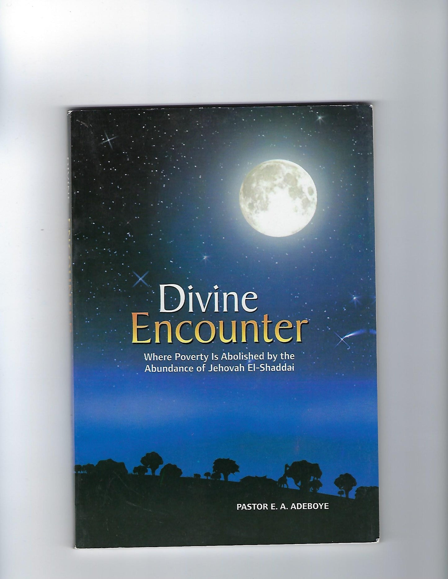 Divine Encounter