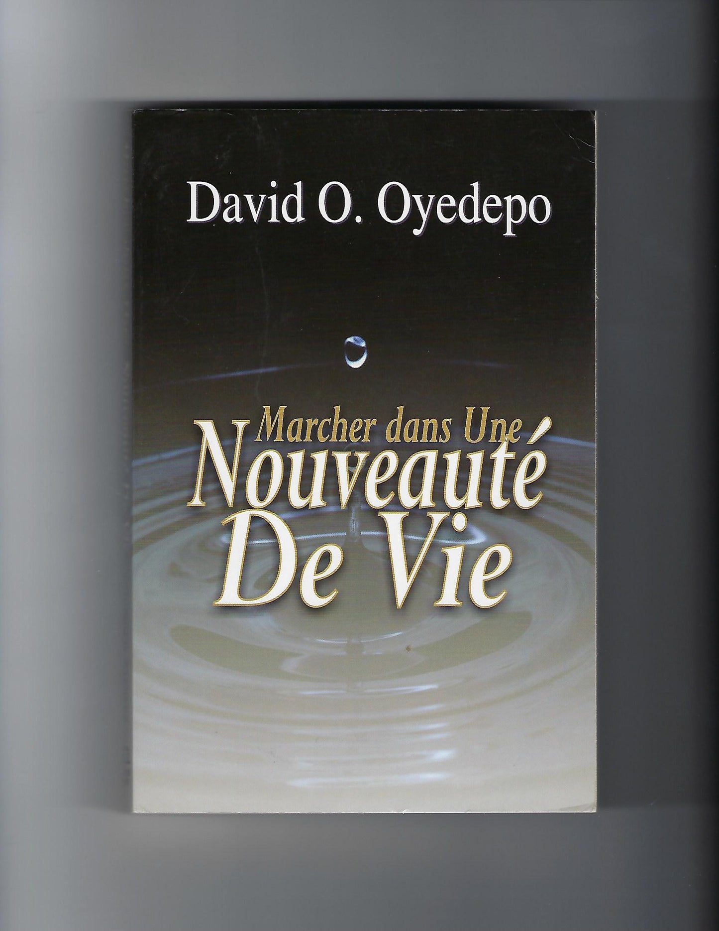 Marcher Dans Une Nouveaute De Vie