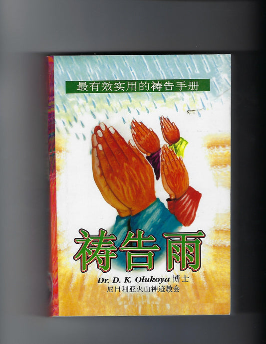 Prayer Rain (Chinese Edition)