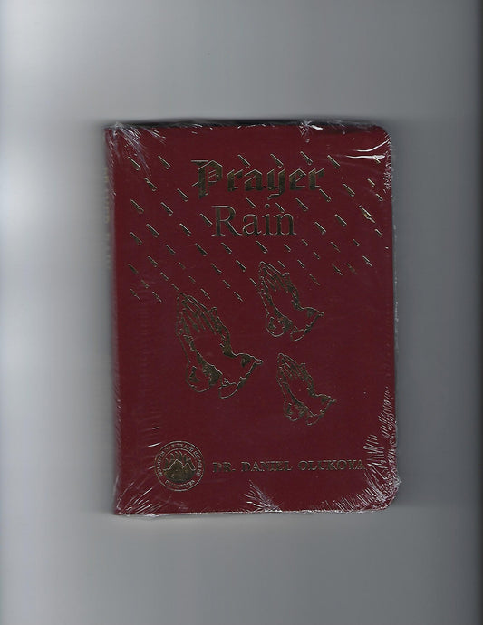 Prayer Rain (Leatherbound Edition)